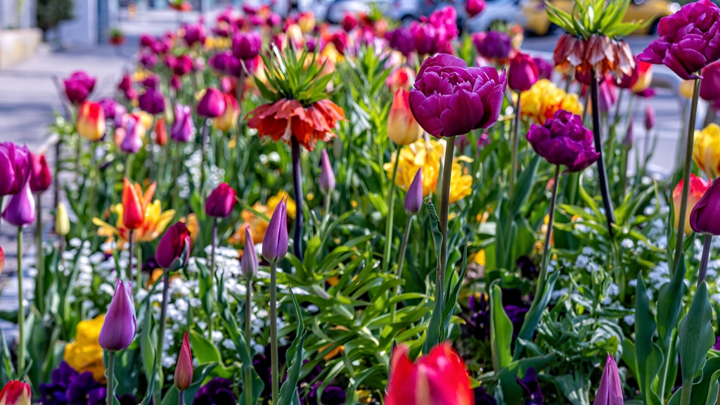 aménagement jardin